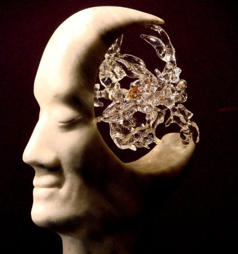 461925223 9261165797246855 1613363310460118597 n